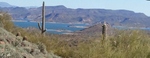 photo thumbnail #1