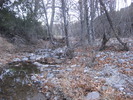photo thumbnail #13