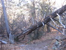 photo thumbnail #14