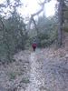photo thumbnail #15