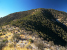 photo thumbnail #8