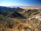 photo thumbnail #13
