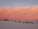 photo thumbnail #13