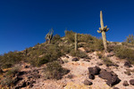2011-01-23 :2: Yellow Peak - Superstitions :: JoelHazelton