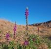 photo thumbnail #14