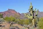 photo thumbnail #7