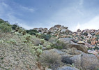 photo thumbnail #6