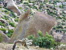 photo thumbnail #11