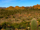 photo thumbnail #6