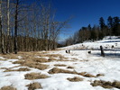 photo thumbnail #11