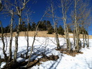 photo thumbnail #14