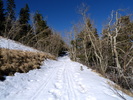 photo thumbnail #15