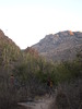 photo thumbnail #1