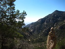 photo thumbnail #14