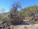 photo thumbnail #3