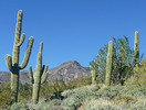 photo thumbnail #8