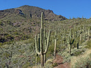 photo thumbnail #11