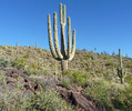 photo thumbnail #15