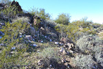 photo thumbnail #4