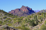 photo thumbnail #6