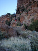 photo thumbnail #8