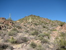 photo thumbnail #2