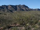 photo thumbnail #4