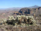 photo thumbnail #8