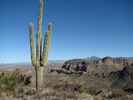 photo thumbnail #11