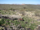 photo thumbnail #12