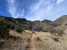 photo thumbnail #2