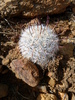 photo thumbnail #7