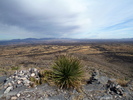 photo thumbnail #11