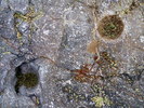 photo thumbnail #12