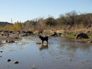 photo thumbnail #9