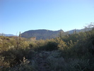 photo thumbnail #2