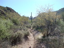 photo thumbnail #4