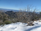 photo thumbnail #3
