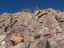 photo thumbnail #5