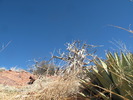 photo thumbnail #13