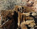 photo thumbnail #7