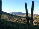 photo thumbnail #1