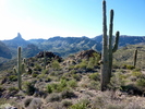 photo thumbnail #5