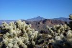 photo thumbnail #8