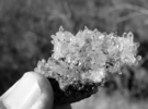 photo thumbnail #15