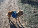 photo thumbnail #2