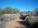 photo thumbnail #5