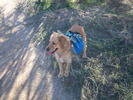 photo thumbnail #10