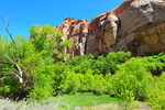 photo thumbnail #6