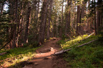 photo thumbnail #3